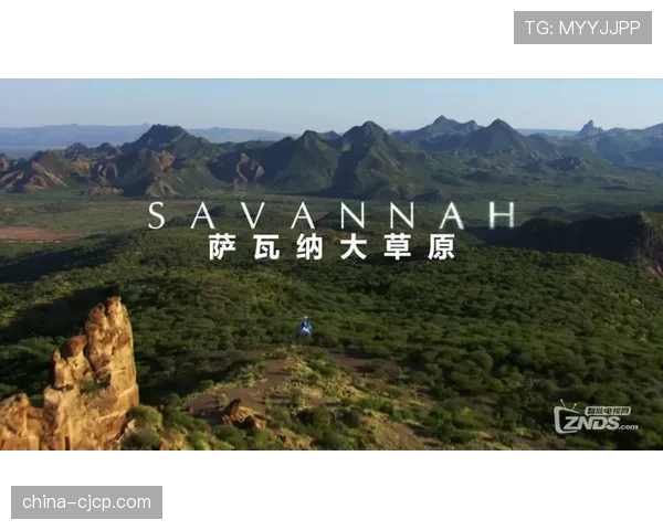 纪录片《信号:足球转播简史》在BBC四台播出,回顾技术如何改变观赛 纪录片《信号:足球转播简史》在BBC四台播出,回顾技术如何改变观赛